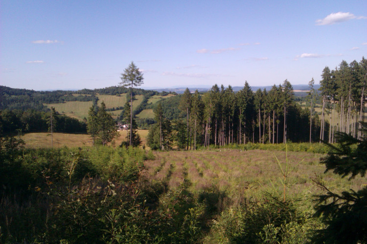 Dole vesnička Kunice