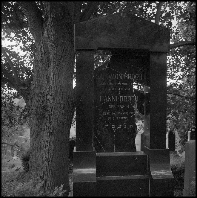 Z židovského hřbitova v Boskovicích