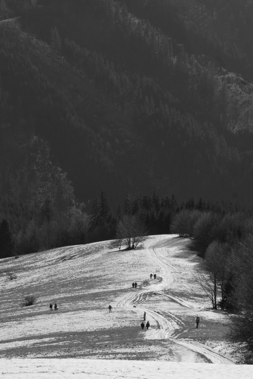 Procesí pod Kamenitým