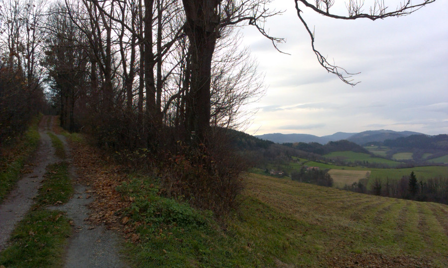 Stoupání k polským hranicím, po hřebenech vzadu za hodinu poběžím