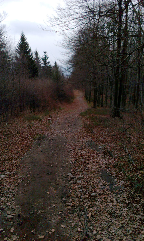 Krásný úsek po hranicích s polskem z Velké Čantoryje dolů do Beskydského sedla