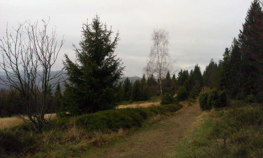 Po hřebeni k Velkému Sošovu a pak rychle dolů na oslavu