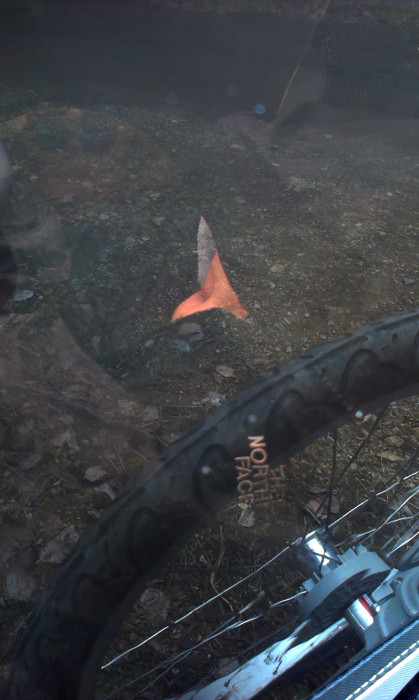 Mates usnul v Markétině péřovce, můžeme jet