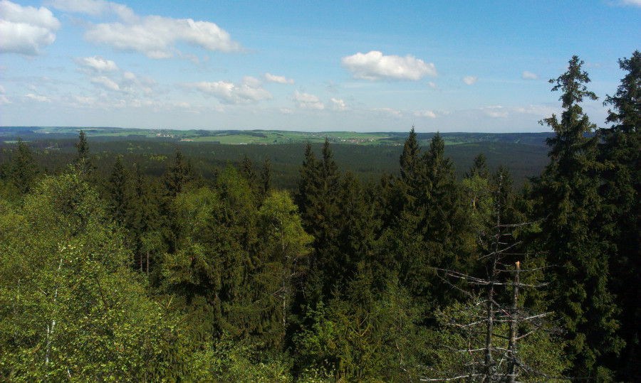 Na tohle jsem se už těšil