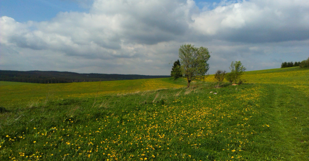 Louky nad Třema Studněma