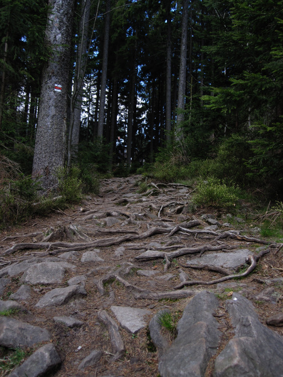 Poslední metry před chatou Skalka