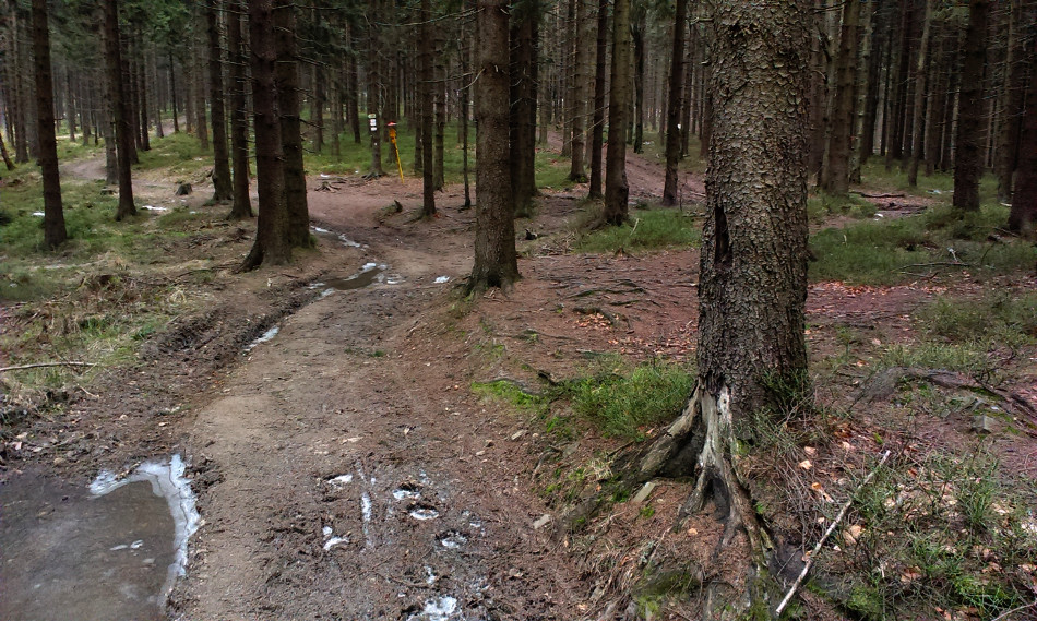 Rozcestí na Kalužném