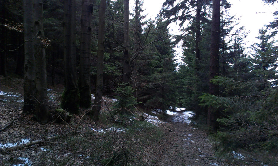 Mezi Ostrým a Javorovým