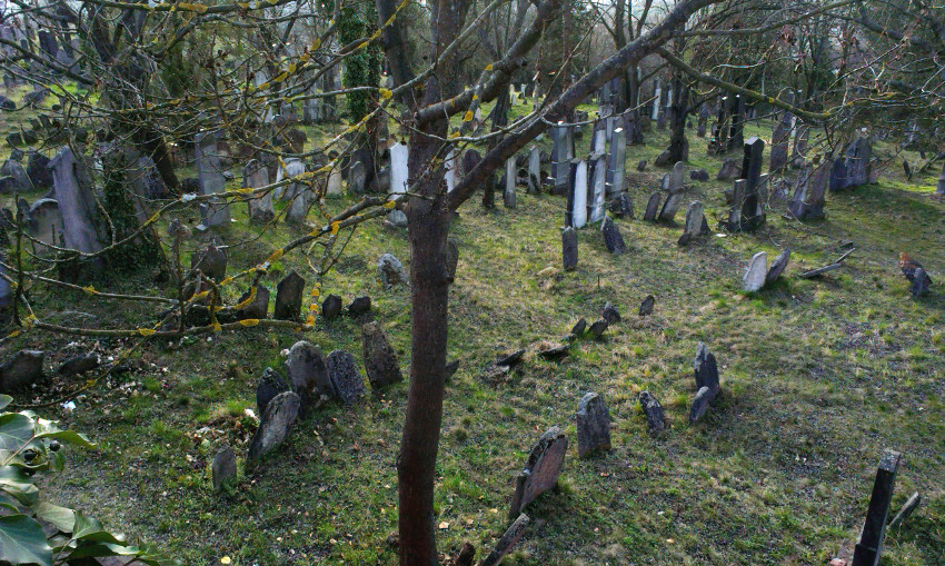 Židovský hřbitov v Mikulově. Dneska jen letmý pohled přes zeď 