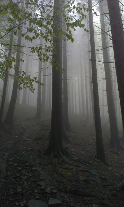 Stoupání ke studánce