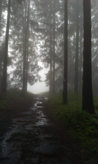 Poslední metry a jsem na Ostrém