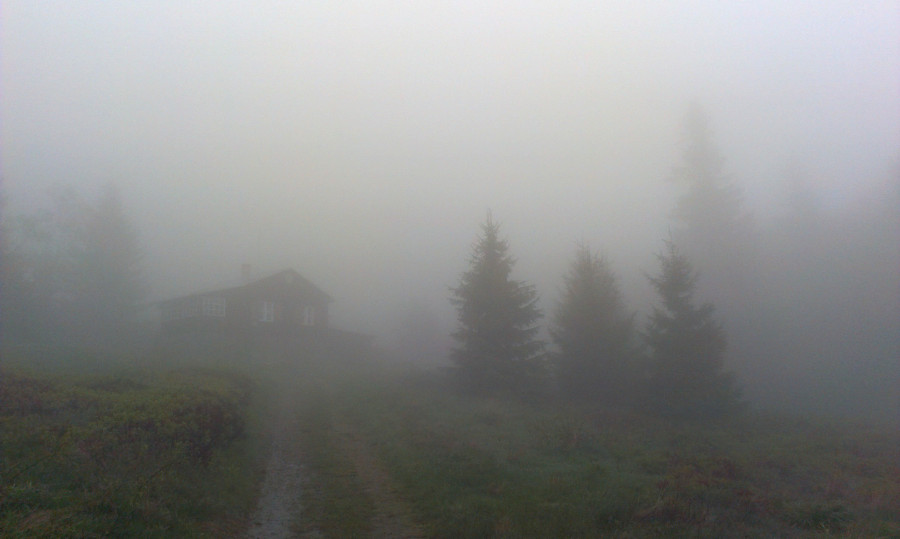 Kolem Hepnerky do pralesa