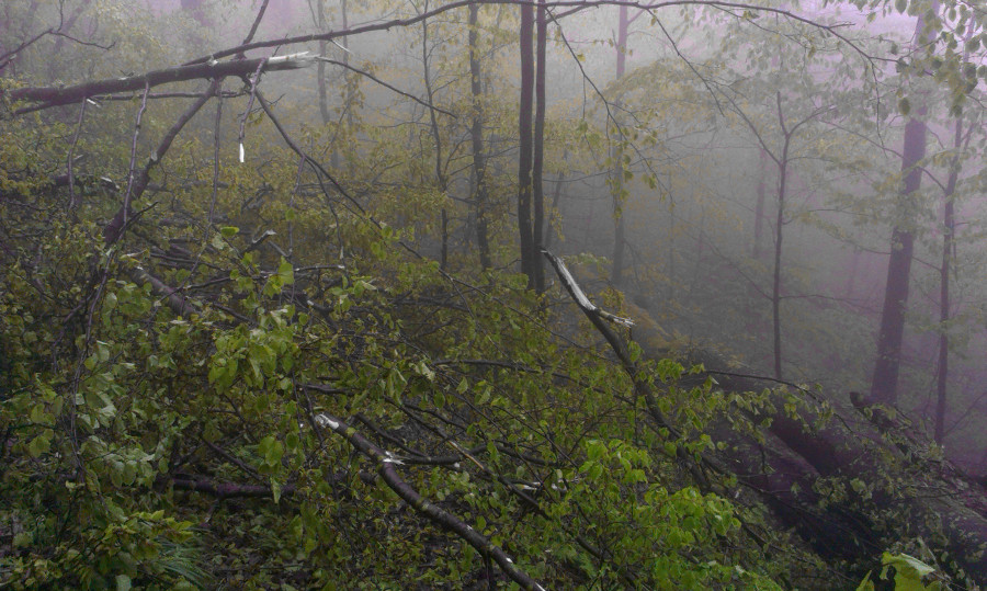Místama se o běhu nedalo vůbec mluvit