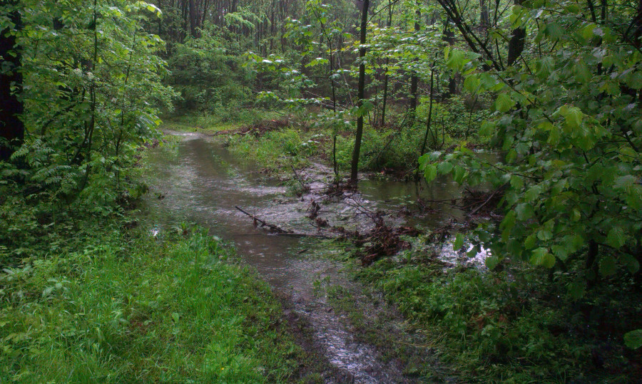Tady už jsem vodu neřešil, stejně jsem byl durch mokrý