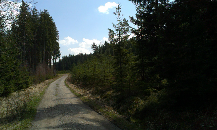 Typická vysočinská krajina přede mnou ...