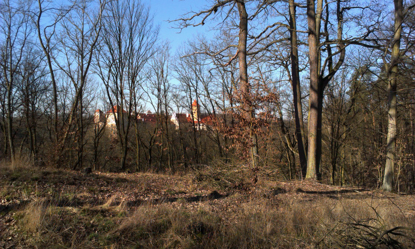 První pohled k hradu