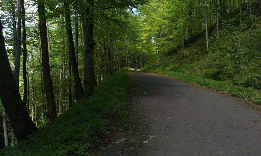 Zeleno cestou z Ráztoky