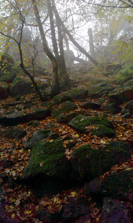 Nekonečné stoupání po červené z Lelekovic