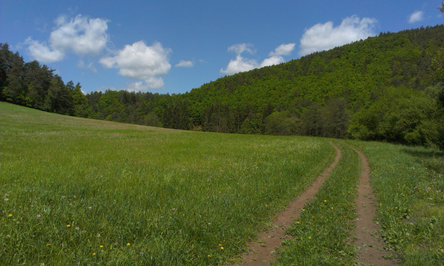 Na loukách nedaleko Skrýjí