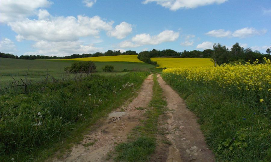 Pohled před sebe ...