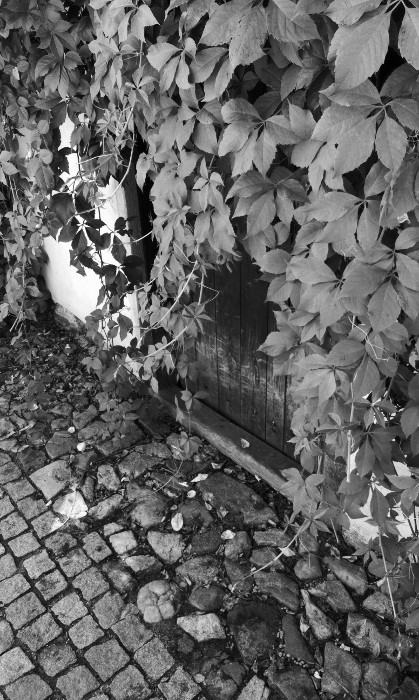 Z Táborských Stínadel