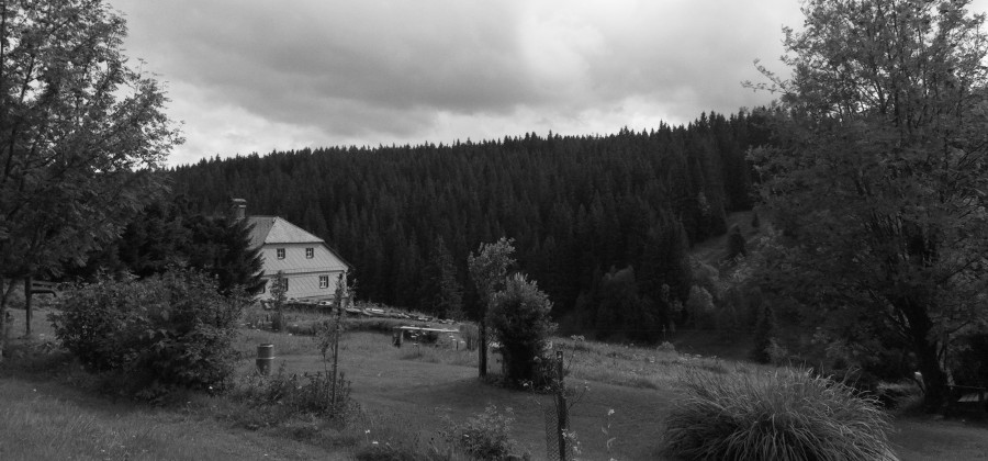 Cestou z Kvildy do Vilémova