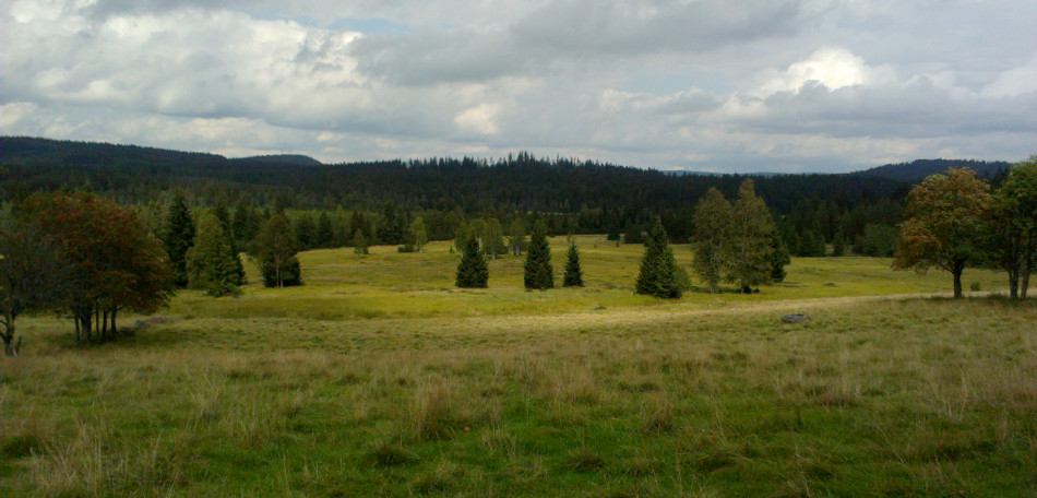 Knížecí pláně, pro mně jedno z nejhezčích míst na Šumavě