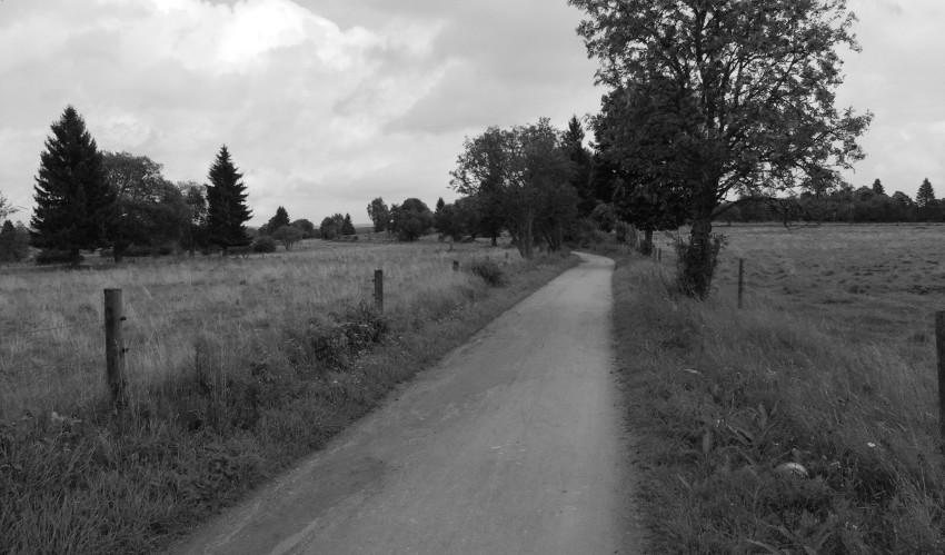 Hvězdičková cesta na Bučinu