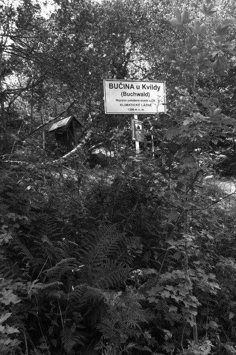 Výše zatím Matýsek asi nebyl