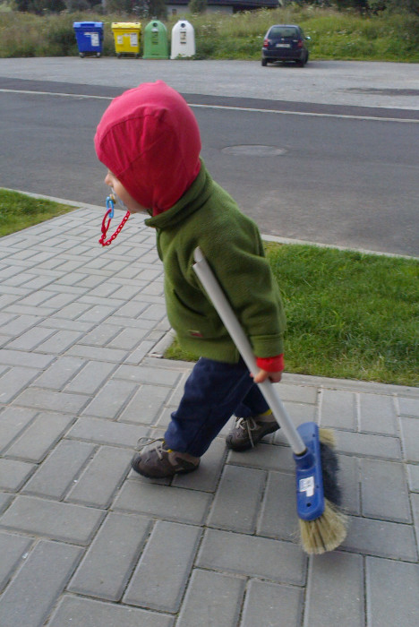 Úklidová četa v Borové ladě