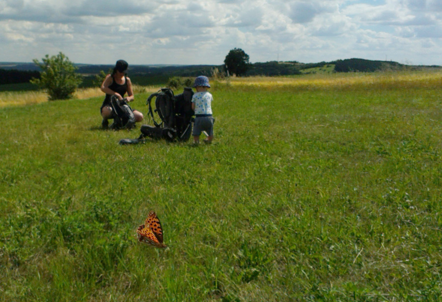 Dá se vyfotit motýl mobilem?