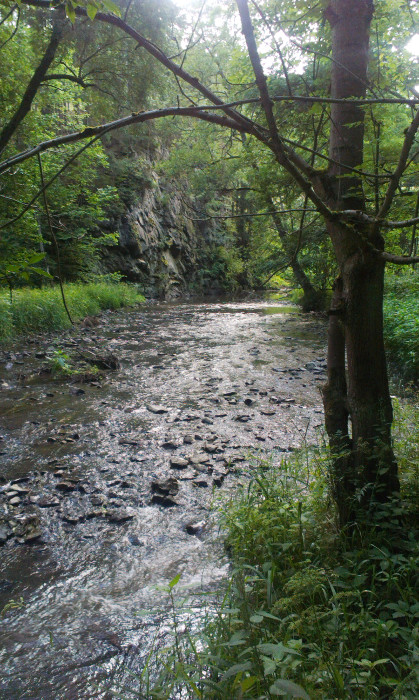 Po pěšinkách podlél Bobrůvky