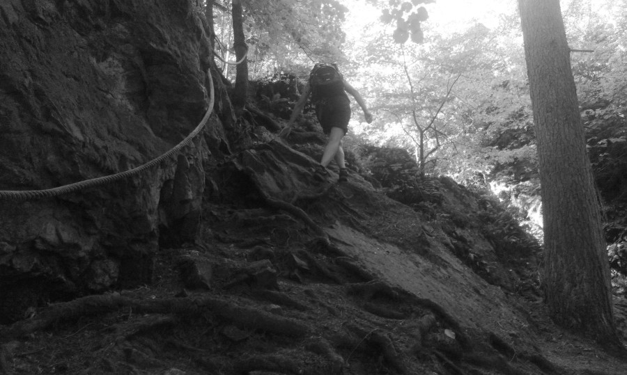 Tohle kousek od Brna?