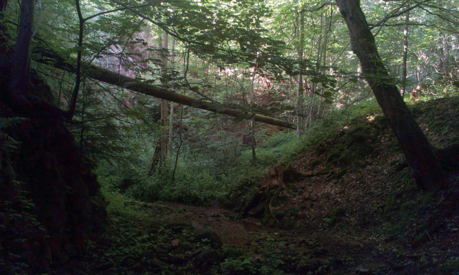 Stoupáme Trenckovou roklí až nahoru