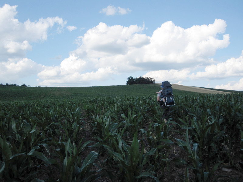 A pak přes pole zpátky do Drahonína