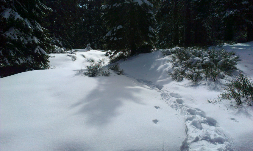 A je to, zima je zpátky