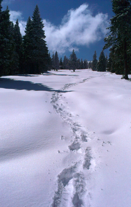 Tohle mně v těch mých hladkých teniskách fakt nebavilo