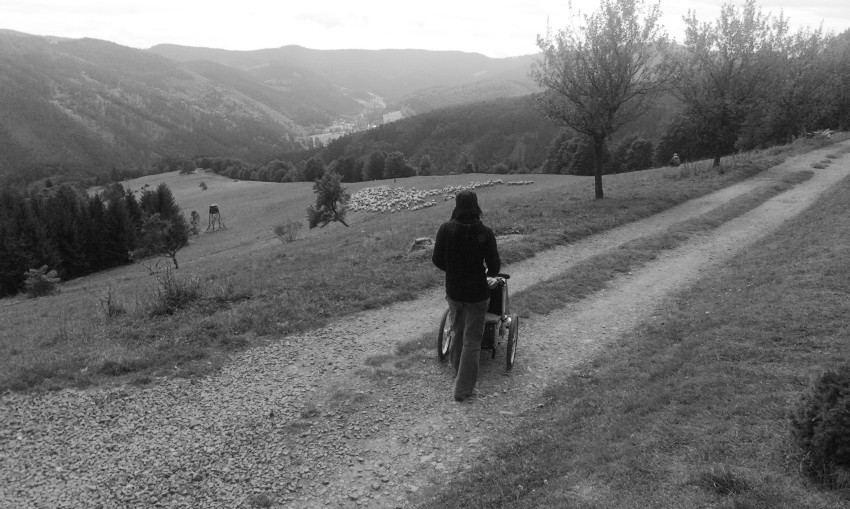 Učíme Matýska poznávat co je pěkné