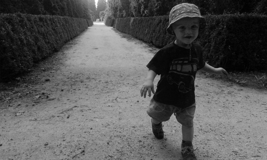 V lednici to máme rádi