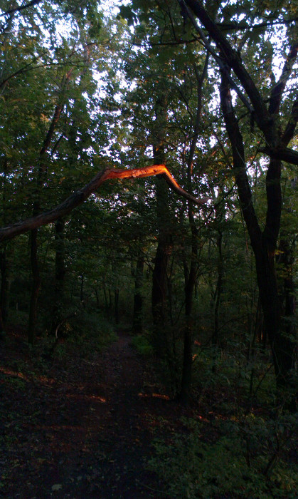 Poslední paprsky, Matýsek mi usíná na zádech