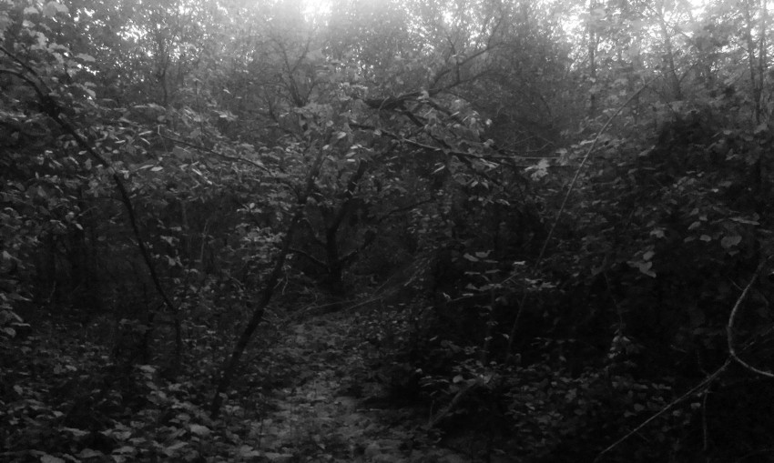 Z kouzelné zahrady v Komíně