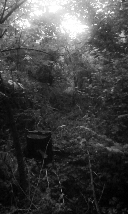 Z kouzelné zahrady v Komíně