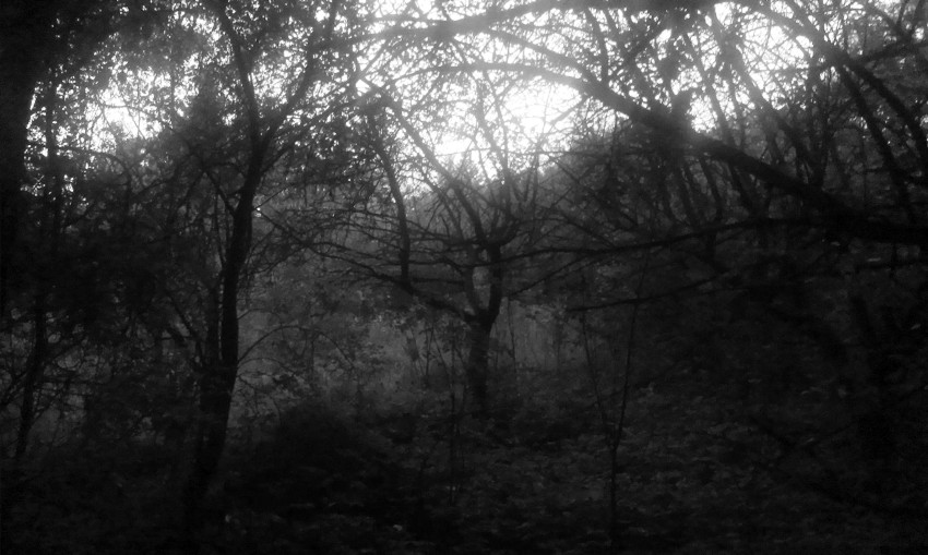 Z kouzelné zahrady v Komíně