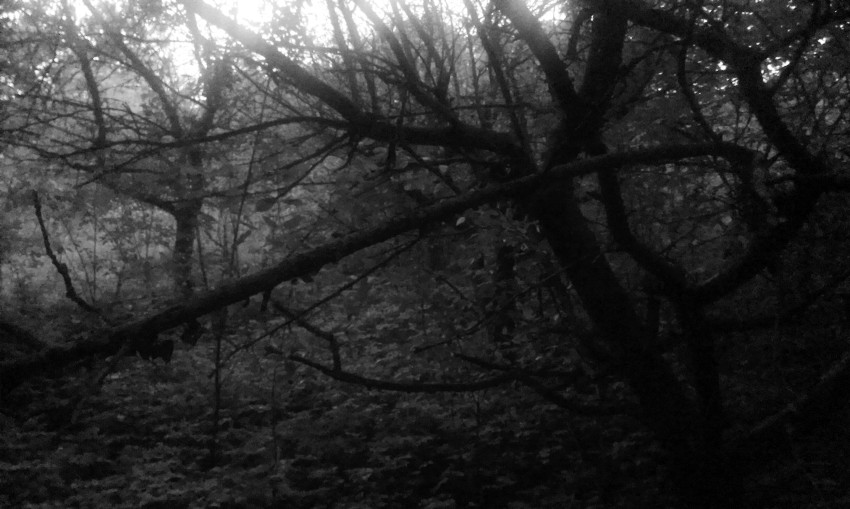 Z kouzelné zahrady v Komíně