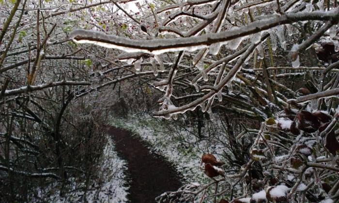 Běh přes Červený kopec do práce jsem si užíval i v ledové kalamitě