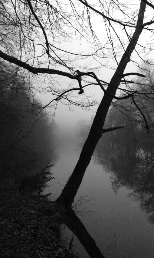 Mám rád tyhle siluety