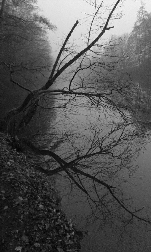 A mám rád i mlhu a ponuré podvečery