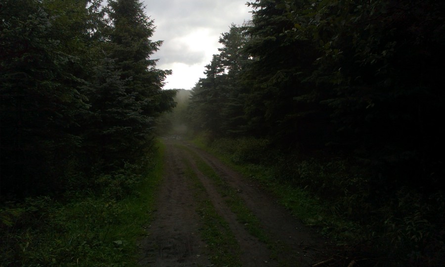 Vzadu Velký Javorový