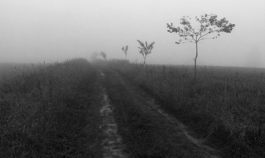 Cesta ze Svratky do Brna byla mlhavá a zima mi byla až do Tišnova