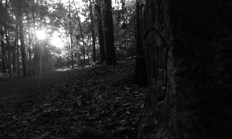 Z večerní vyjížďky na Holednou